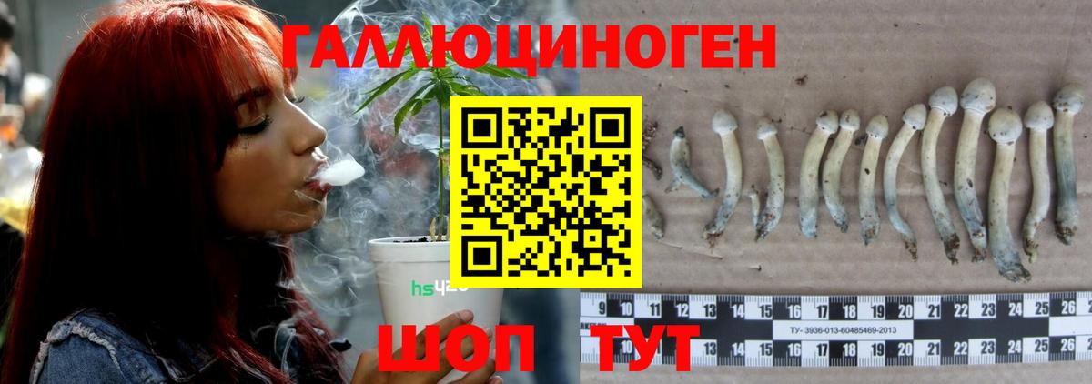 Назрань  Галлюциногенные грибы ЛСД  Вход с VPN 